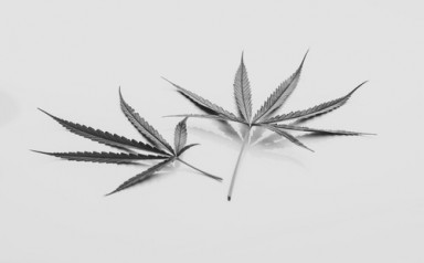 Детоксикация от наркотиков в Кинешме